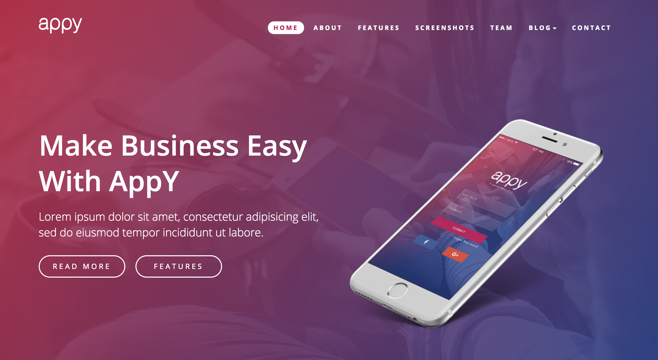 Appy App Landing WordPress Theme.png