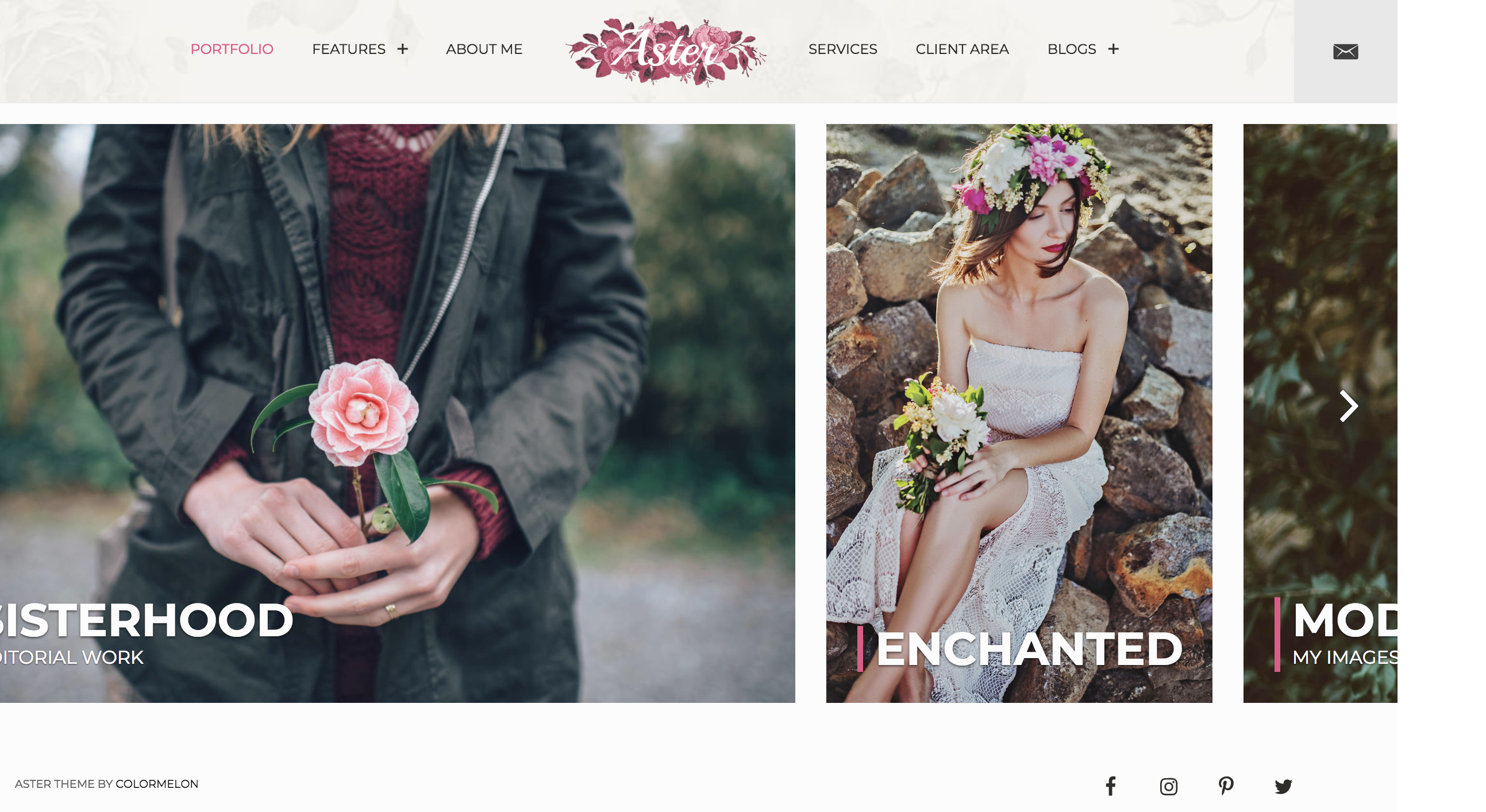 Aster – Photography portfolio theme.png