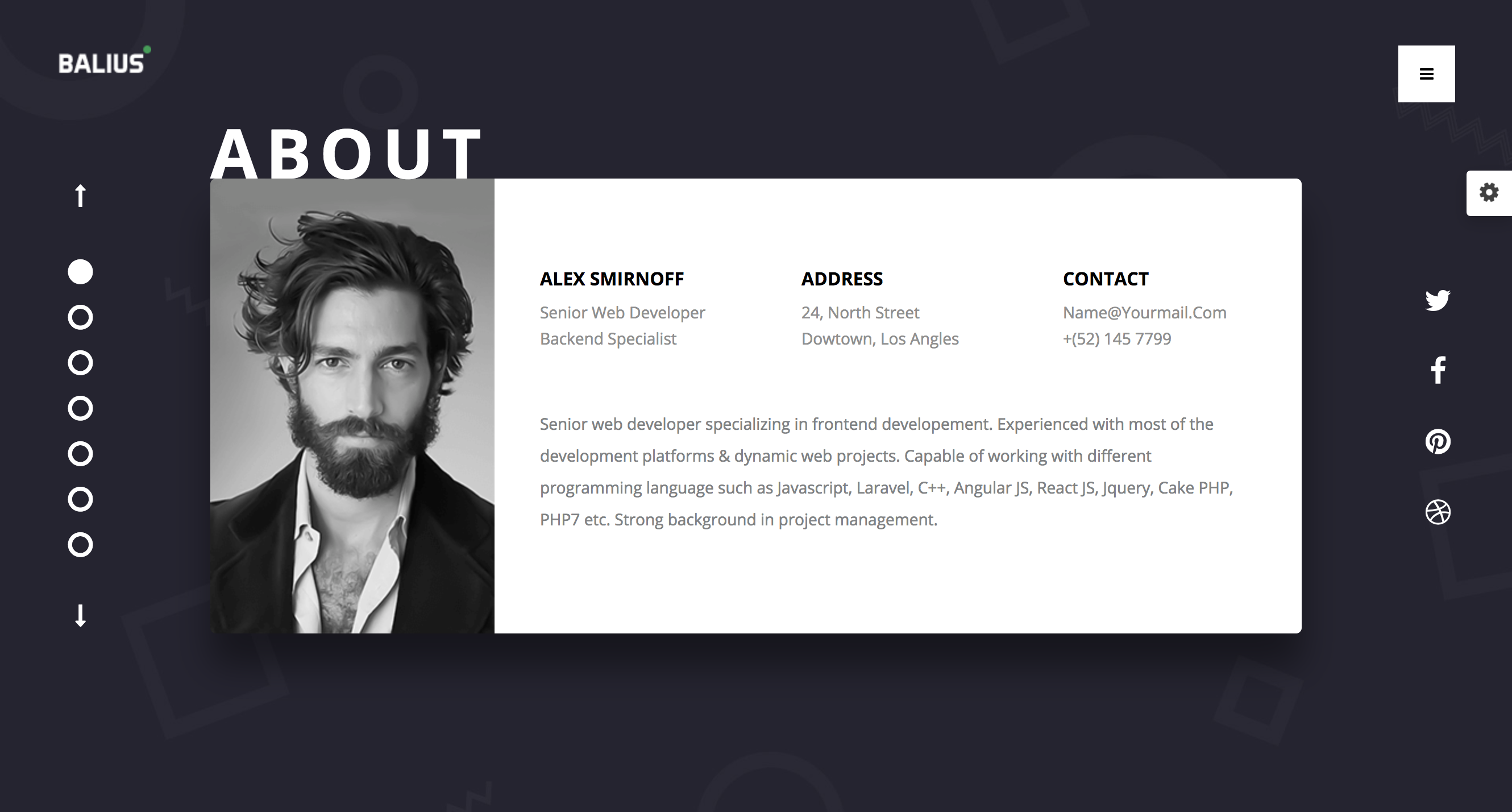 Balius - Resume and vCard WordPress Theme.png