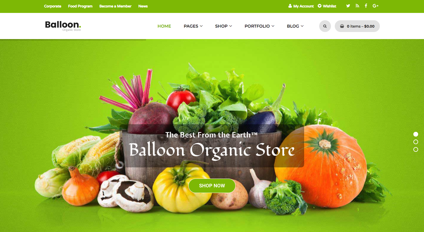 Balloon | Organic Farm & Food Business WordPress Themes.png