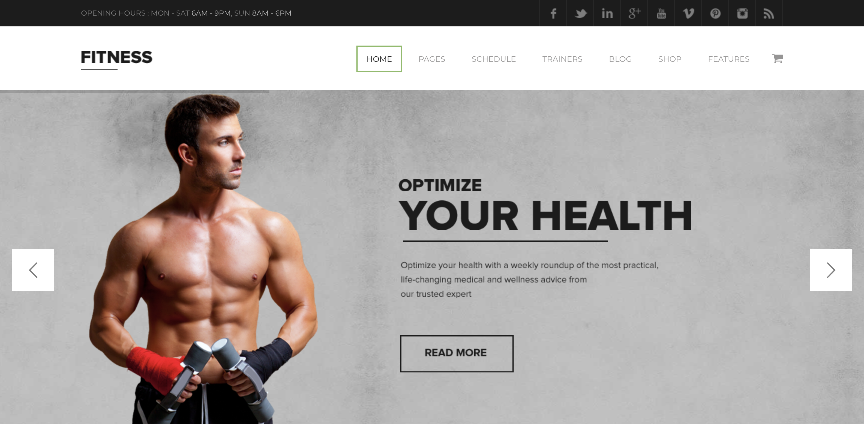 Fitness - Gym Fitness Premium WordPress Theme Just another The Web Design Factory Sites site.png