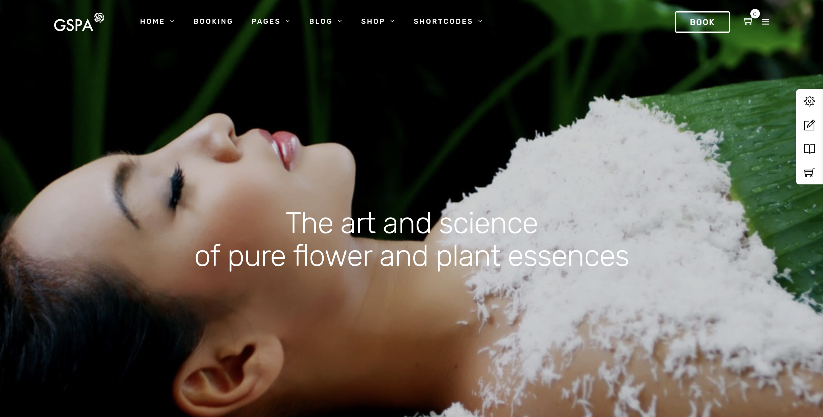 Grand Spa | Spa Beauty WordPress for Spa and Beauty.png