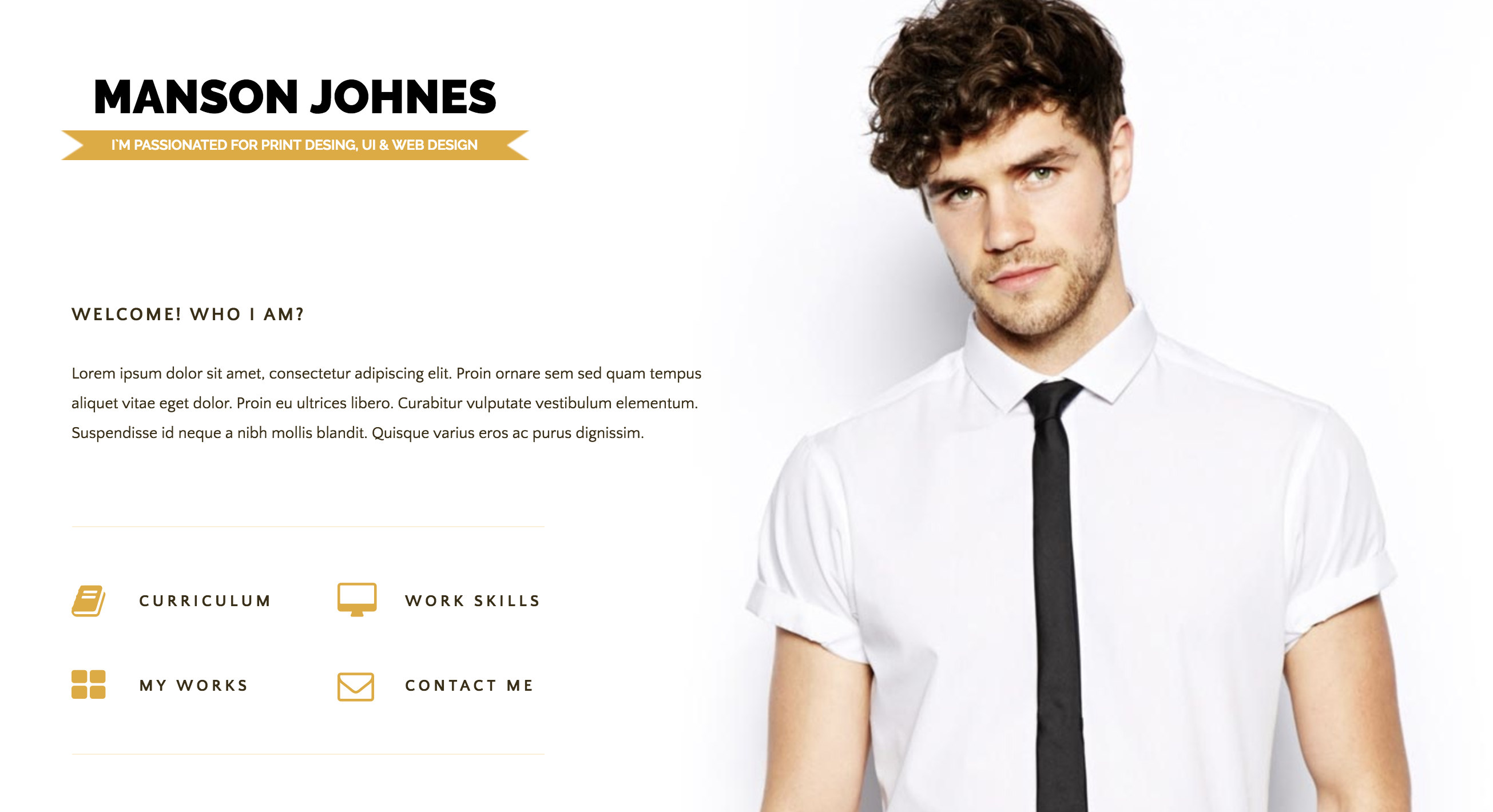 Hireme - Responsive Resume WordPress Theme.png