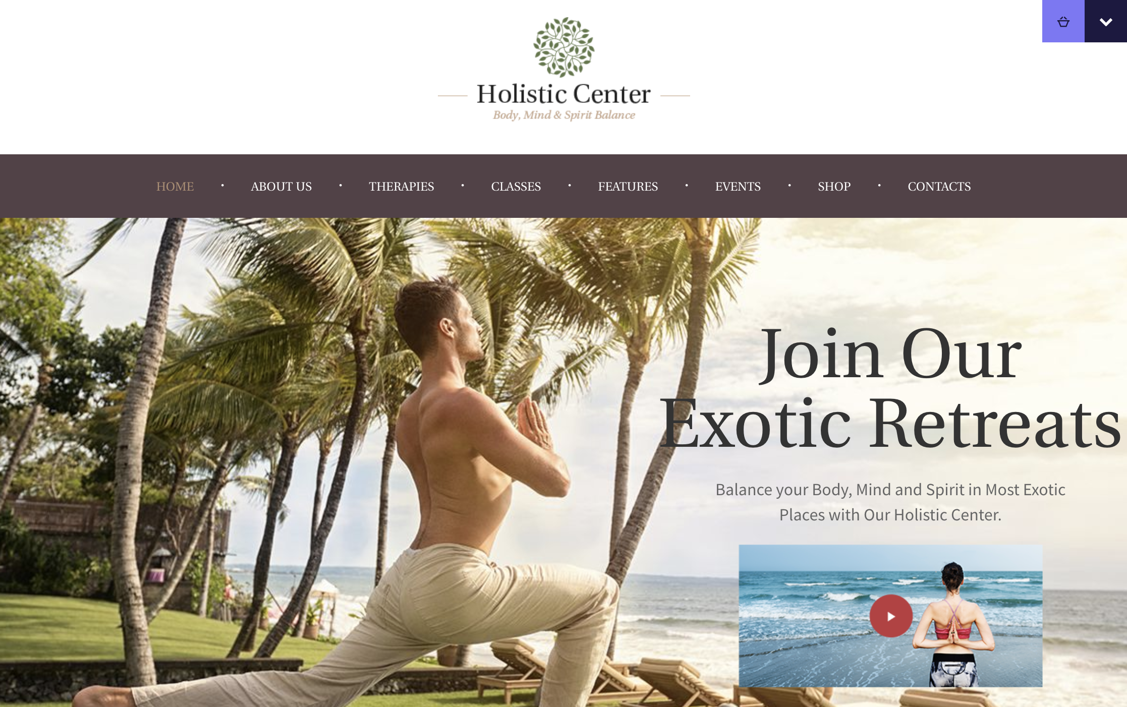 Holistic Center - Wellness and Spa WordPress Theme.png