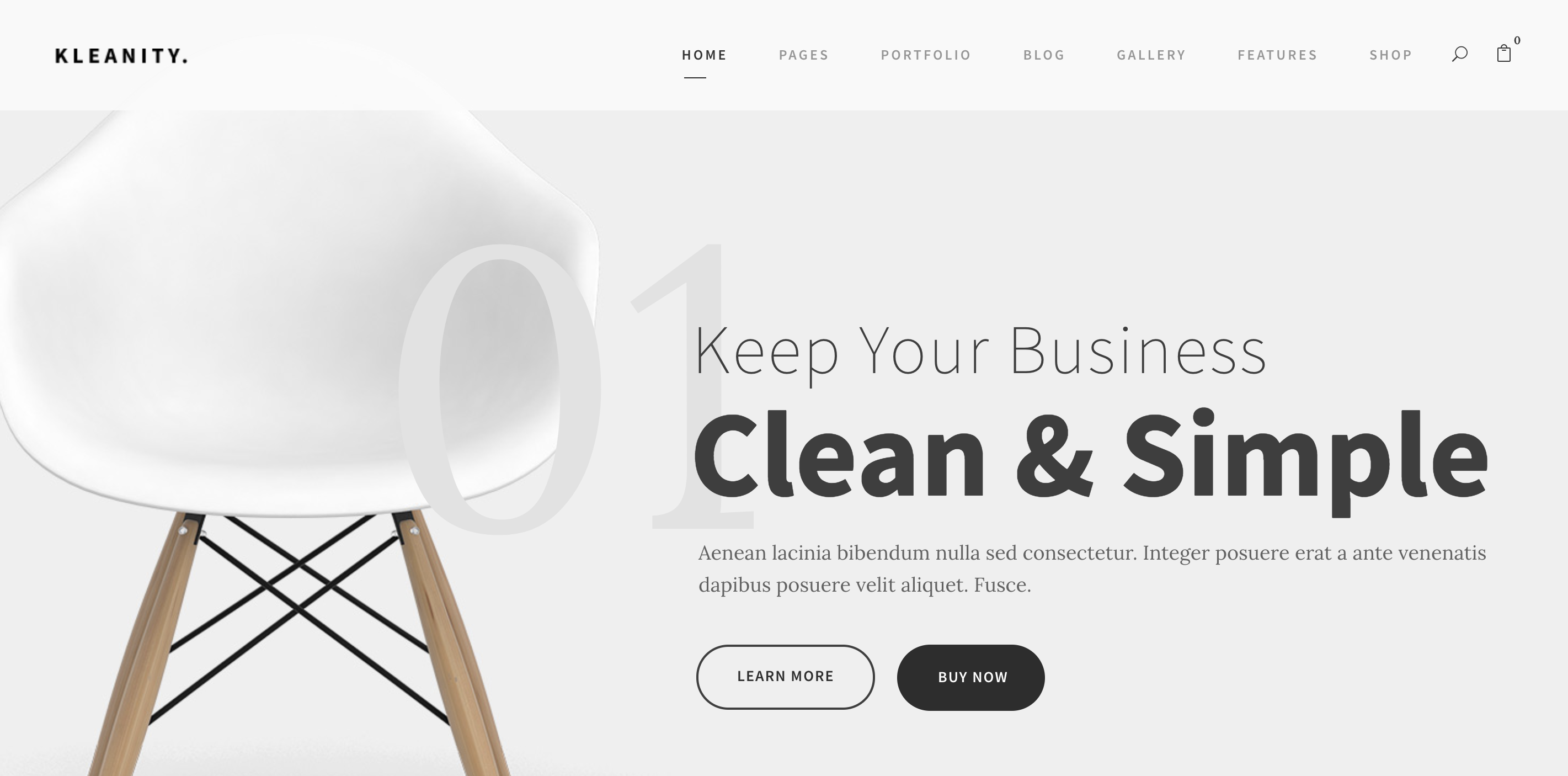Kleanity – Minimal Creative WordPress Theme – Just another WordPress site.png