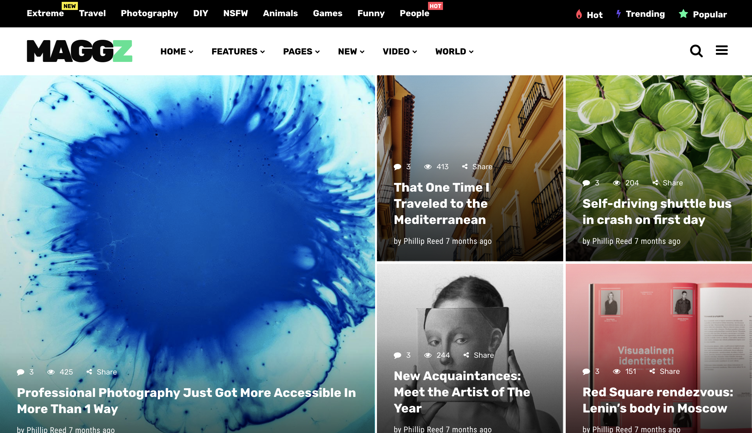 Maggz - A Creative Viral Magazine and Blog Theme