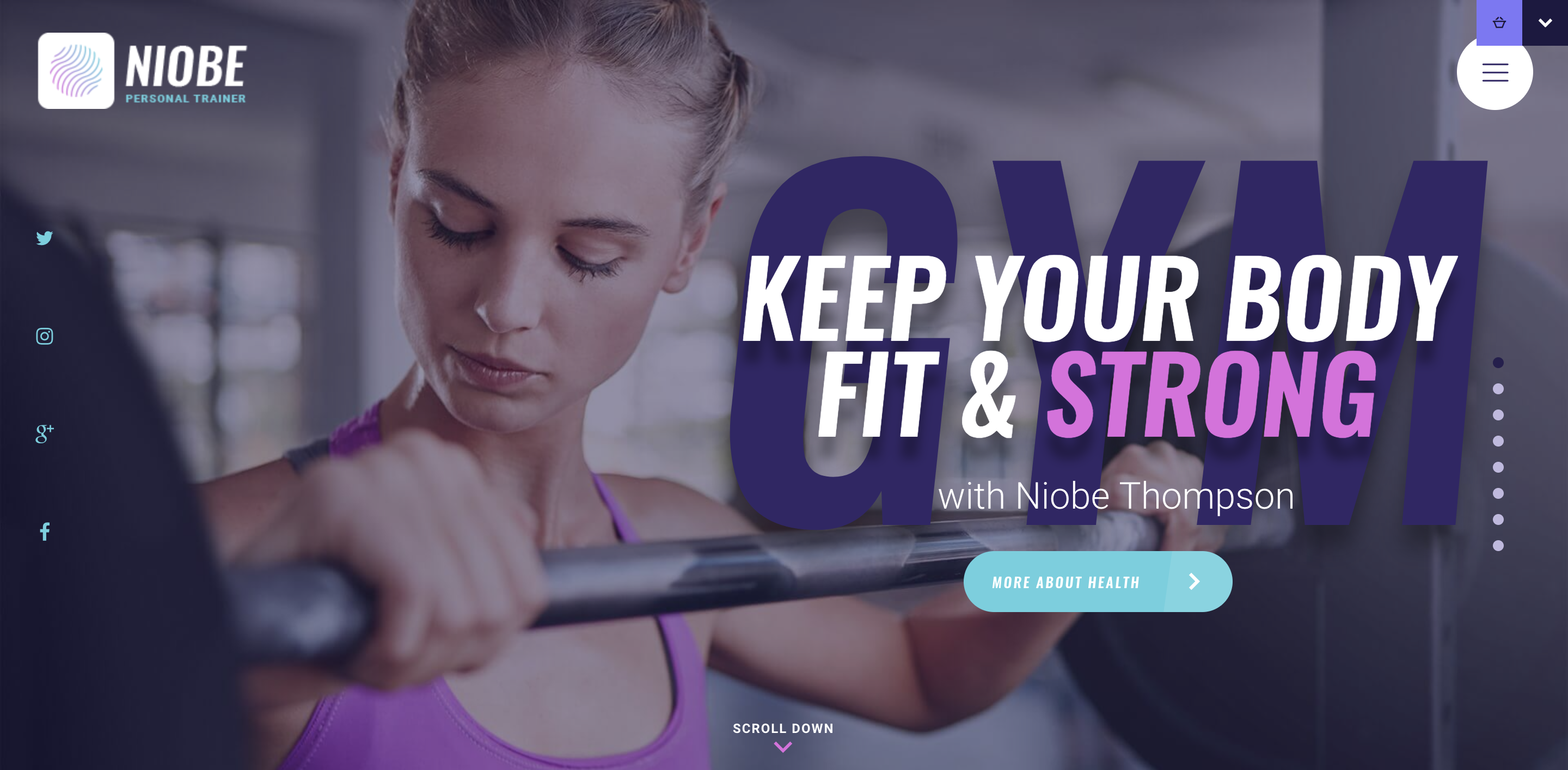 Niobe - Gym Trainer Nutrition Coach WP Theme.png