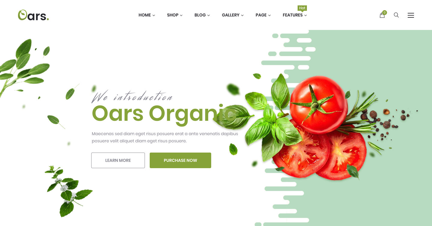 Oars - Creative Organic Store & Fresh Food WordPress Theme.png