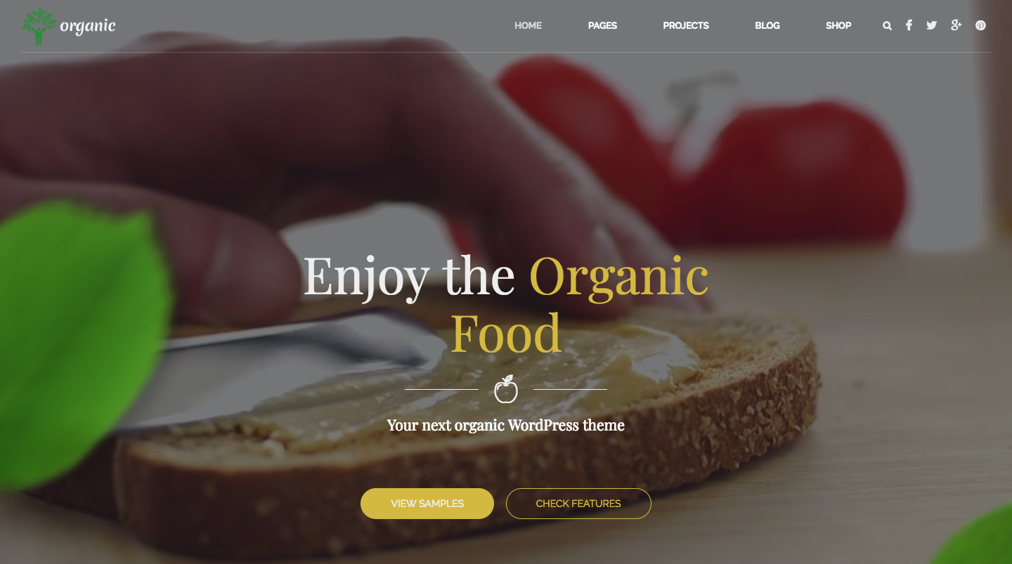 Organic Food - Nutritionist & Food WordPress Theme.png