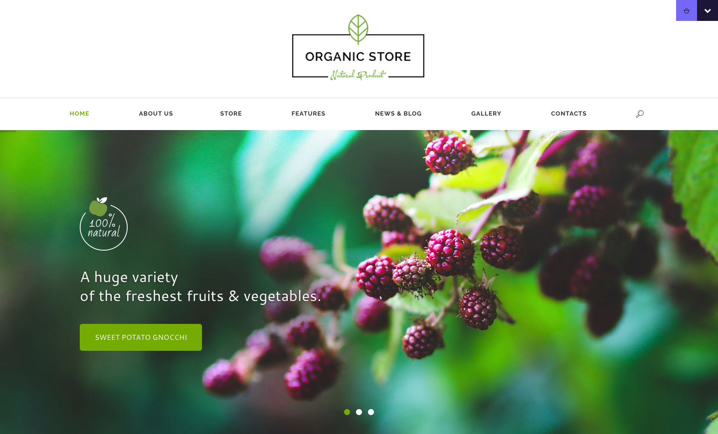 Organic Store - Organic & Eco Products WordPress Theme.png