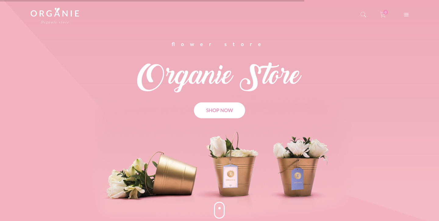 Organie - An Organic Store, Farm, Cake and Flower Shop WooCommerce Theme.png