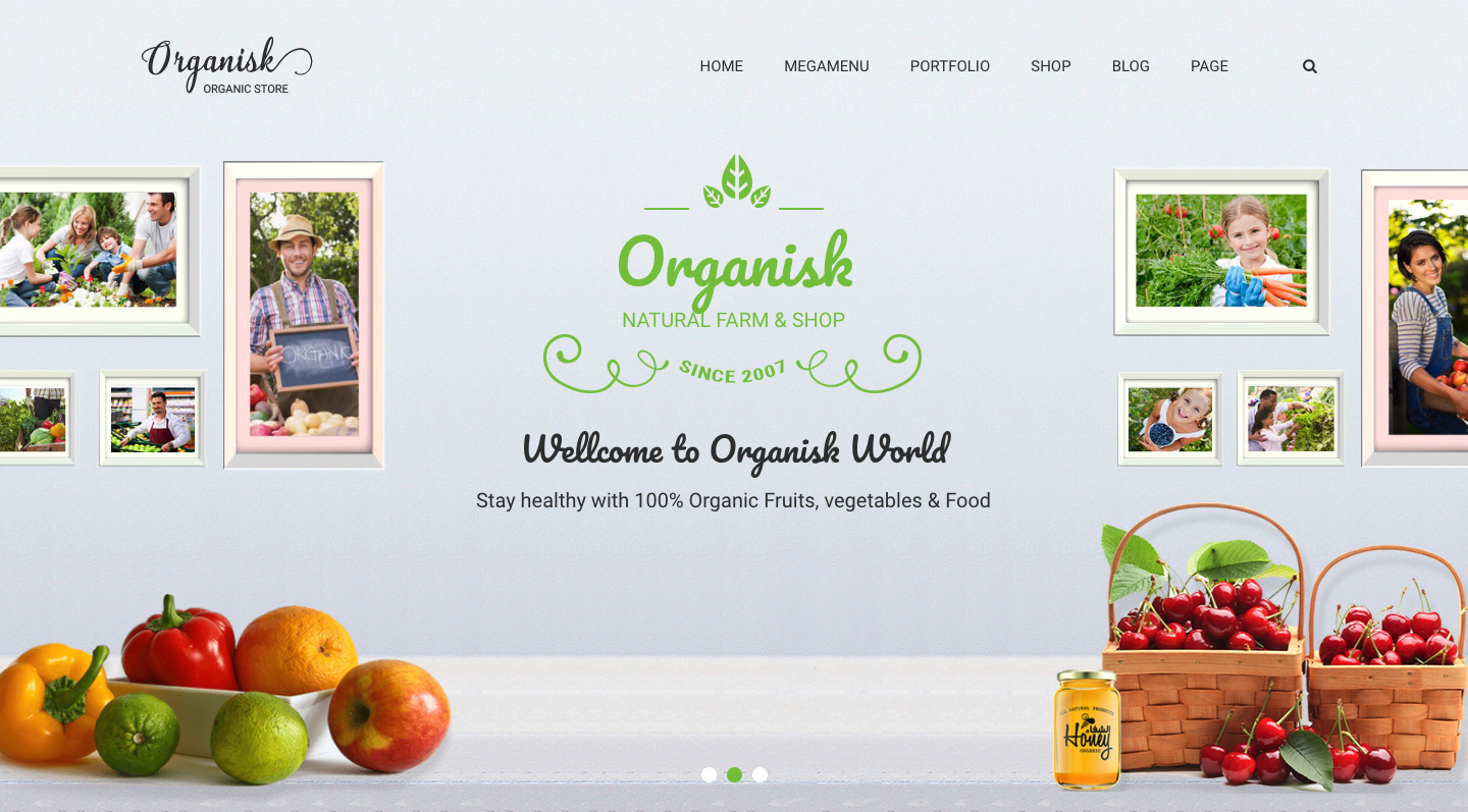 Organisk - Multipurpose Organic WooCommerce Theme.png