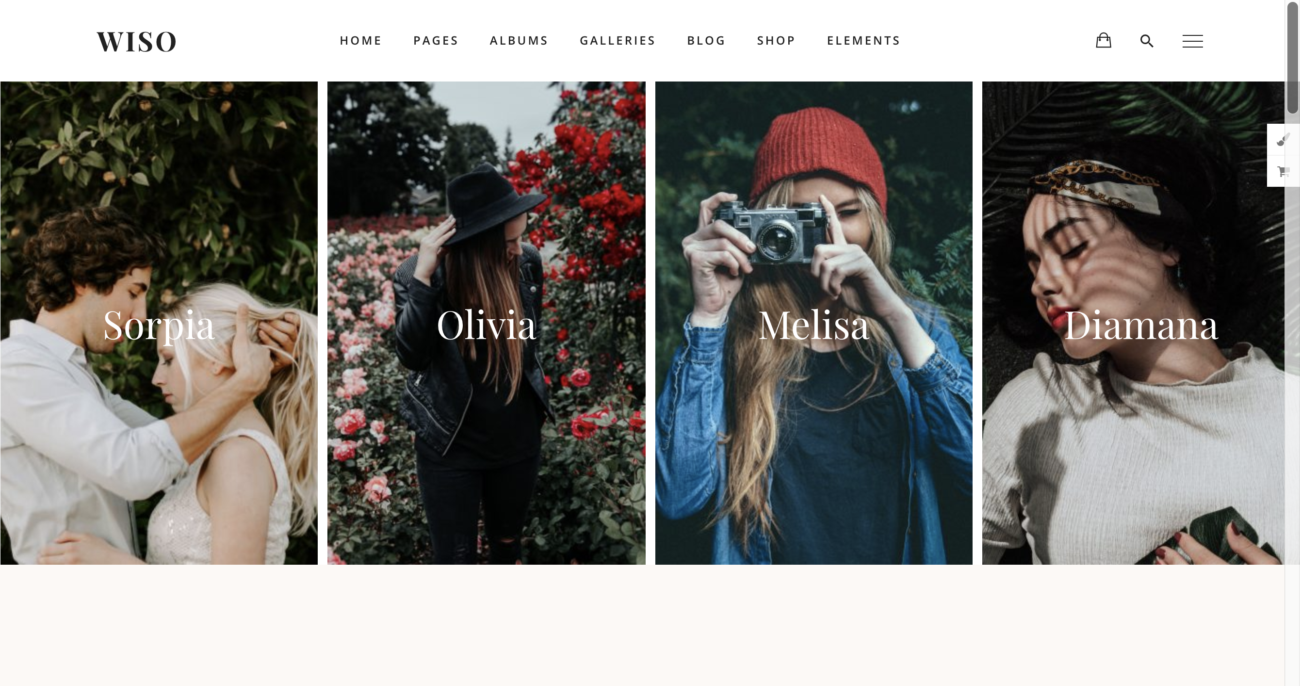 Photography WISO - Photography WordPress for photography.png