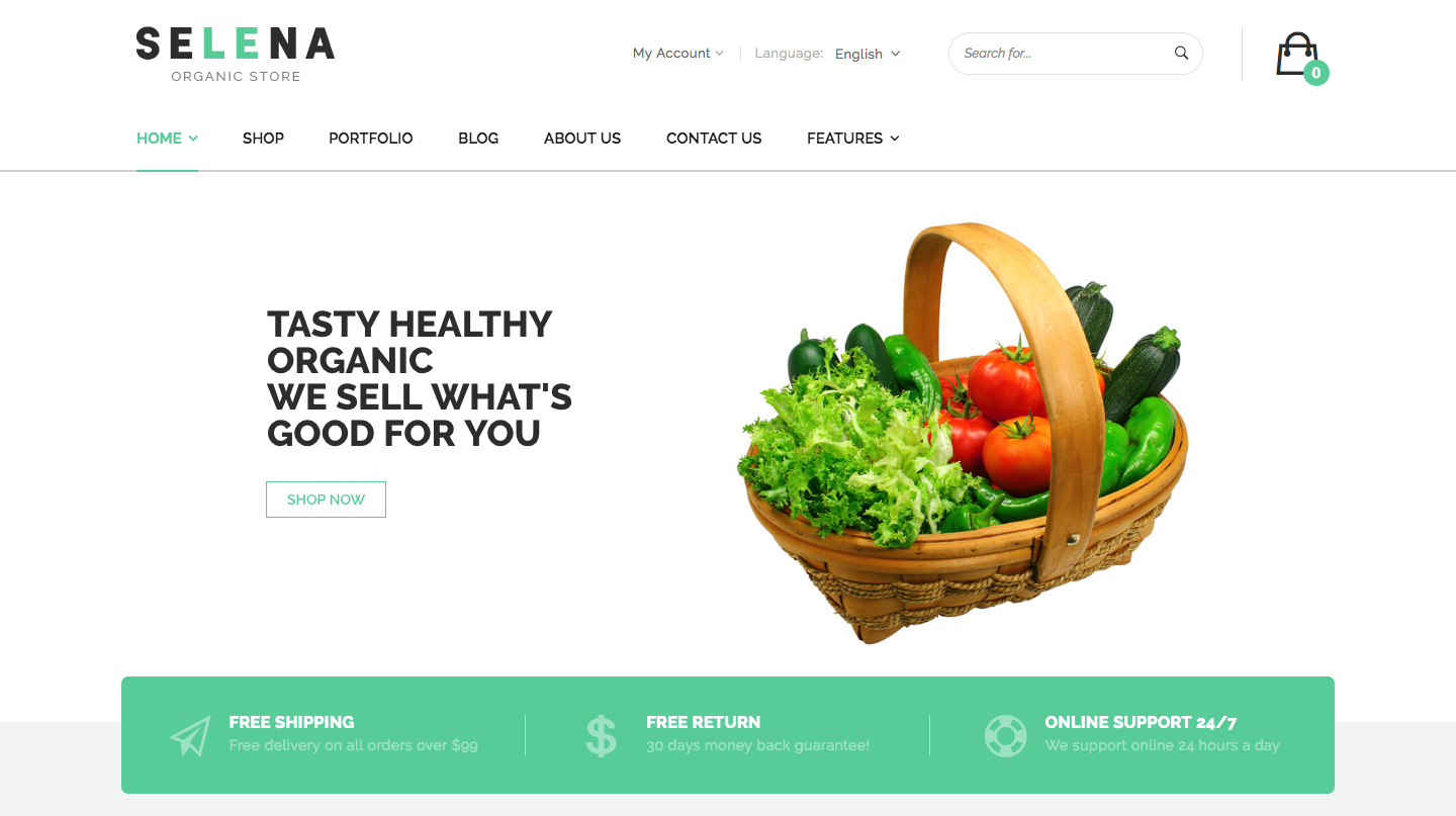 Selena - Organic Food Store Theme for WooCommerce WordPress.png