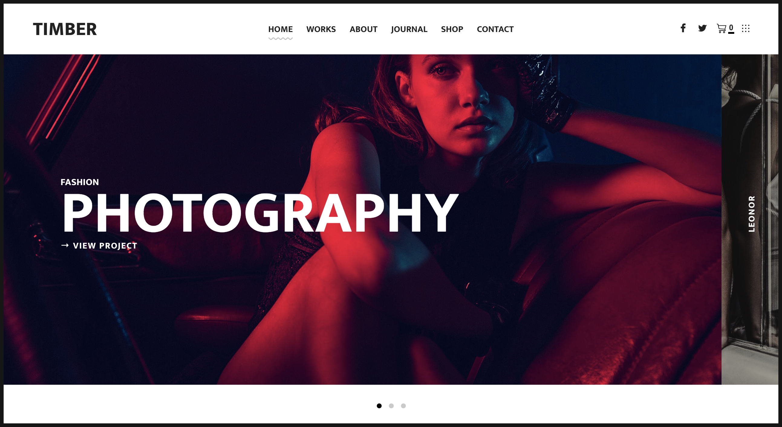 TIMBER – An Unusual Photography WordPress Theme.png