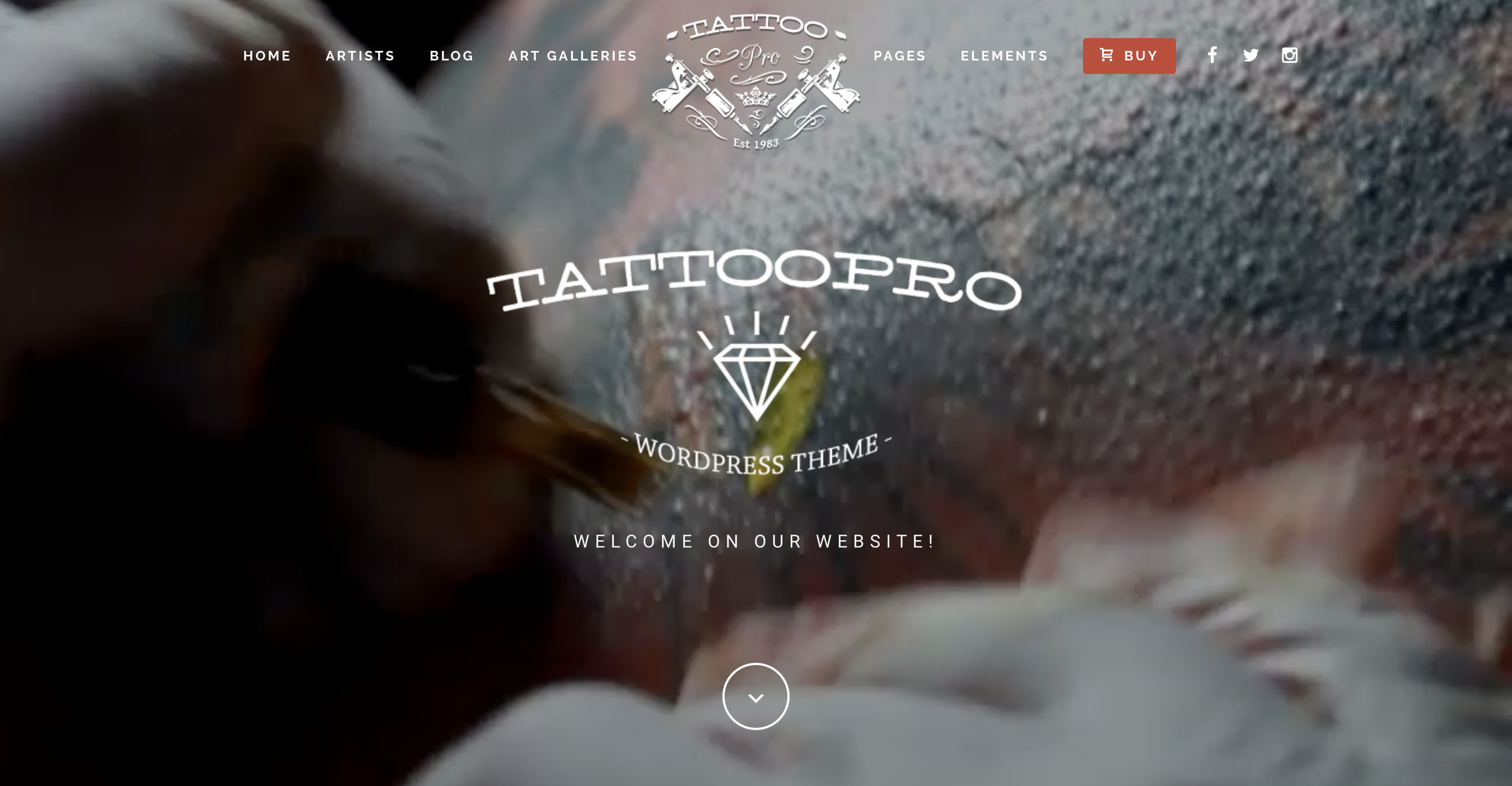 Tattoo Pro A Premium WordPress Theme for Tattoo Artists.png