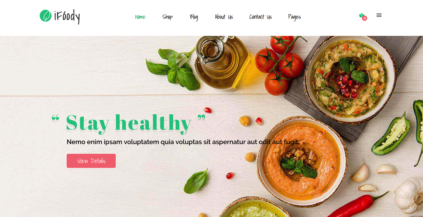 VG iFoody - Responsive WooCommerce WordPress Theme.png