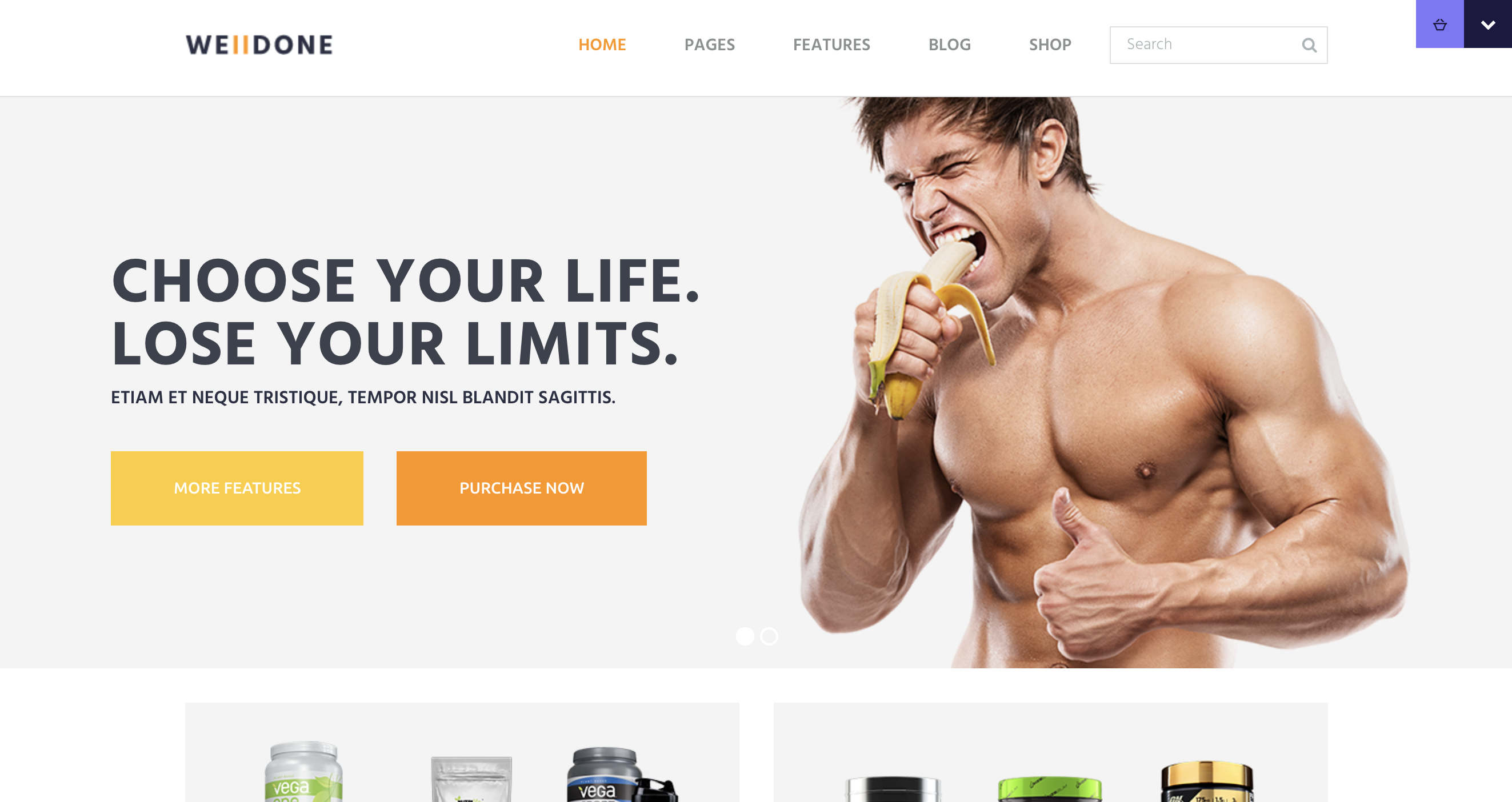 Welldone - Sports Fitness Supplements Store WordPress Theme.png