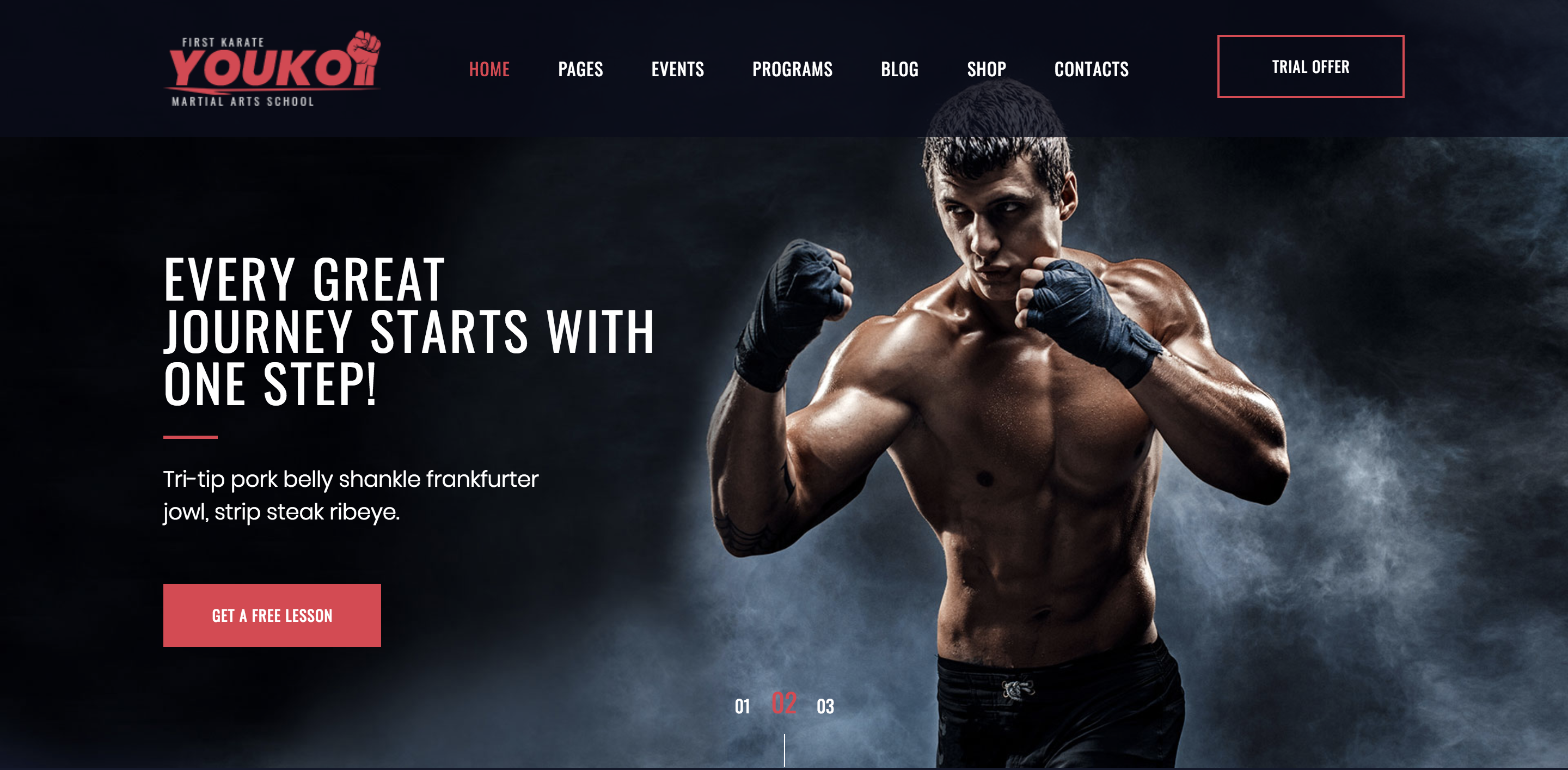 Youko - Martial Arts School WordPress Theme.png