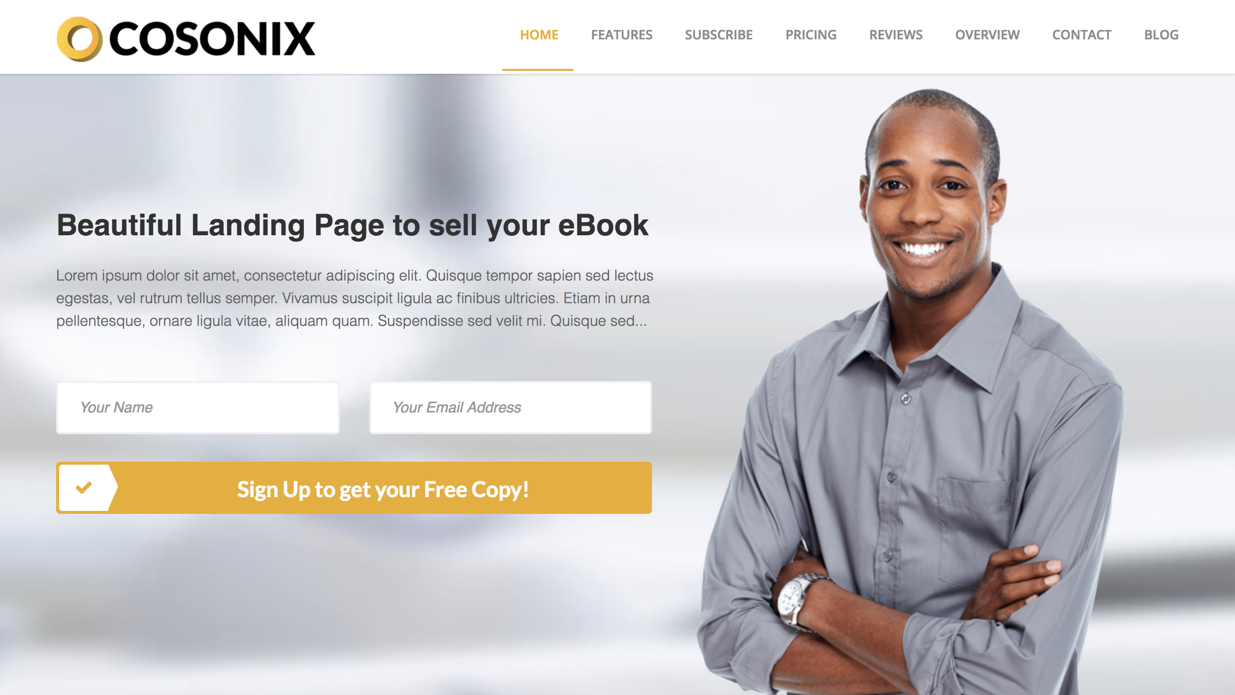 eBook Selling Landing WordPress Theme.png